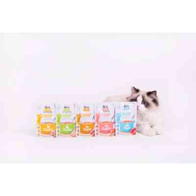 Влажный корм для кошек Brit Care Soup Turkey суп с индейкой 75 г (8595602569199) Винница