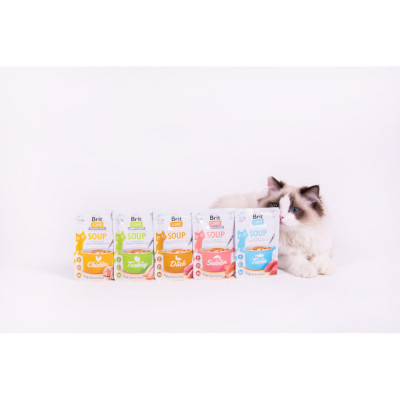 Влажный корм для кошек Brit Care Soup Turkey суп с индейкой 75 г (8595602569199) Винница - изображение 5