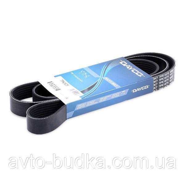 Ремінь генератора Рено Трафік III 1.6 dCi (120 140 к. с) АС DAYCO 7PK1675 Новый Роздол - изображение 1