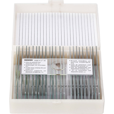 Набор микропрепаратов Konus Загальна Біологія Зоологія, хребетні, включно зі ссавцями 25 шт (4978) Винница - изображение 1