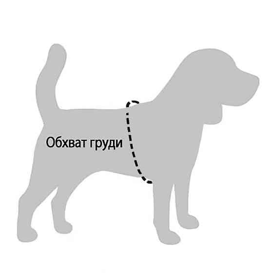 М’яка шлейка для собак маленьких порід, шлячи для дрібних порід Неопрен 3D Сітка блакитна Одеса