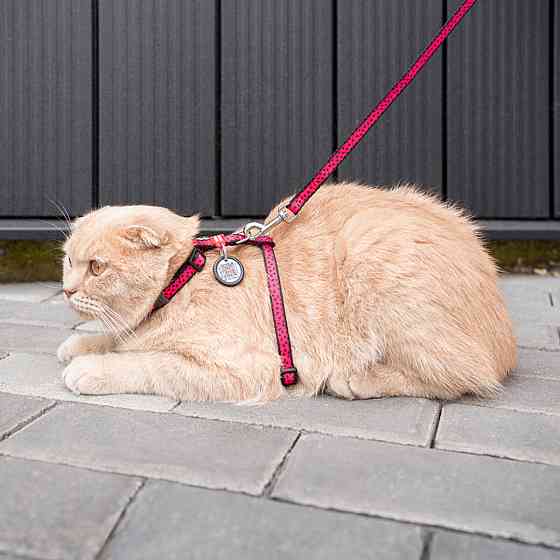 Шлей с поводком WAUCAT Nylon с QR паспортом, рисунок 