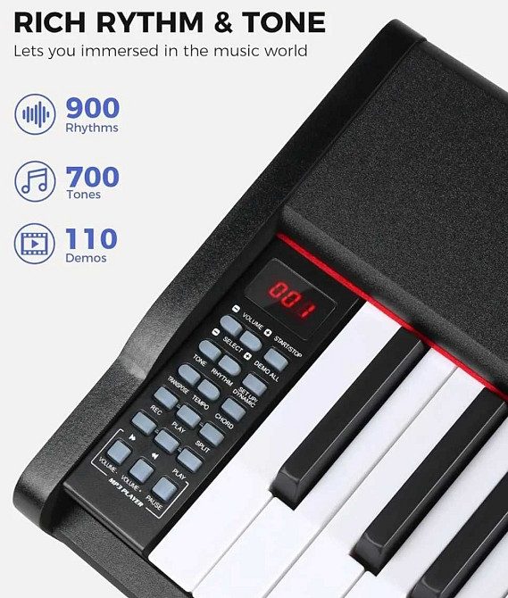 Цифрове піаніно Fesley FEP300 (педаль, пюпітр, навушники, адаптер) Харків - фото 3