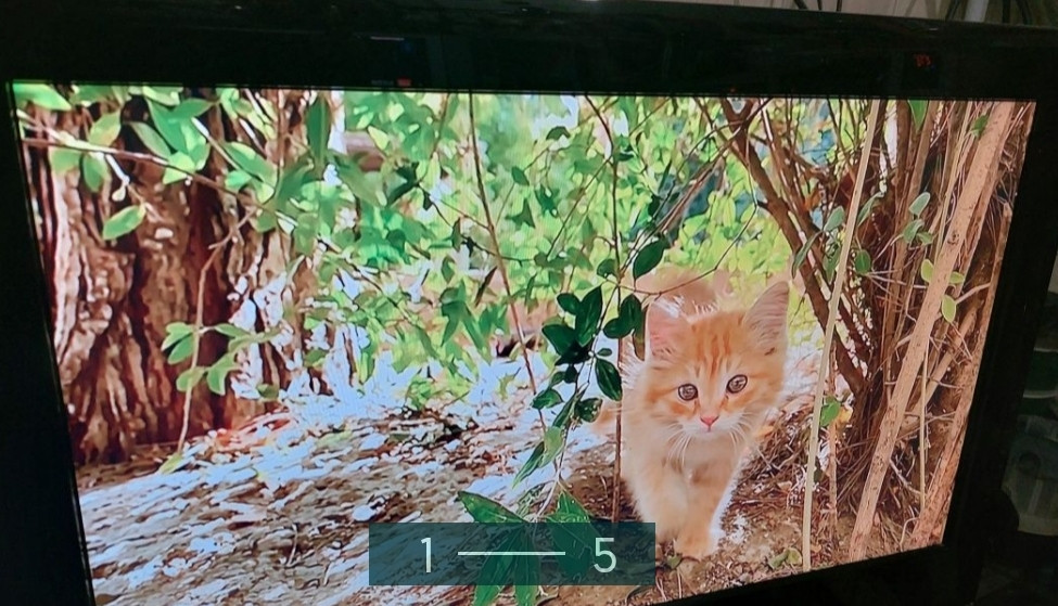 Телевизор Samsung 22