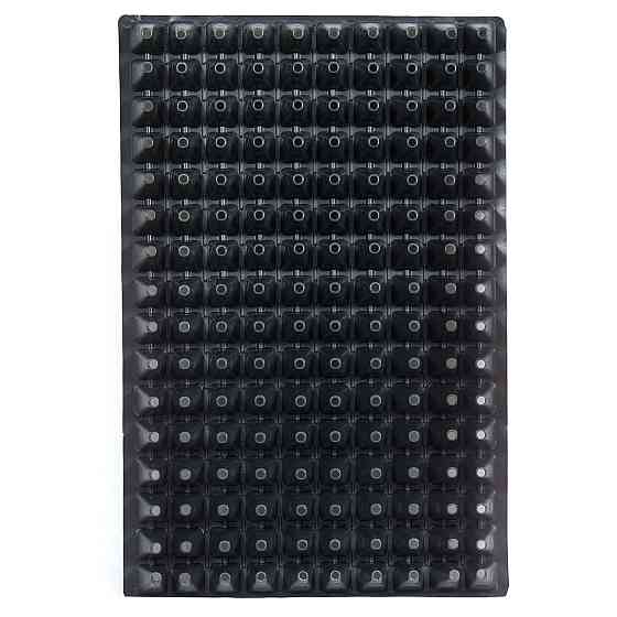 Касета для розсади 60*40 см 160 комірки Дніпро