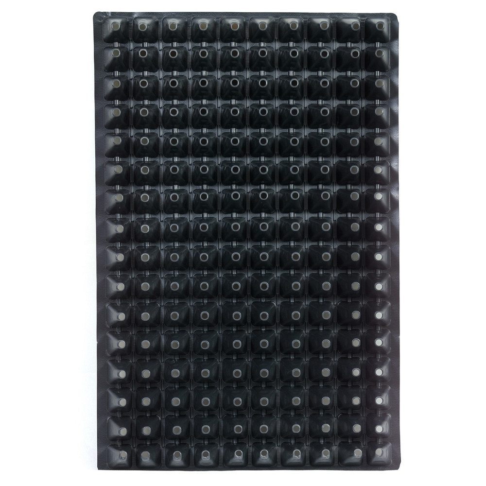 Касета для розсади 60*40 см 160 комірки Дніпро - фото 3