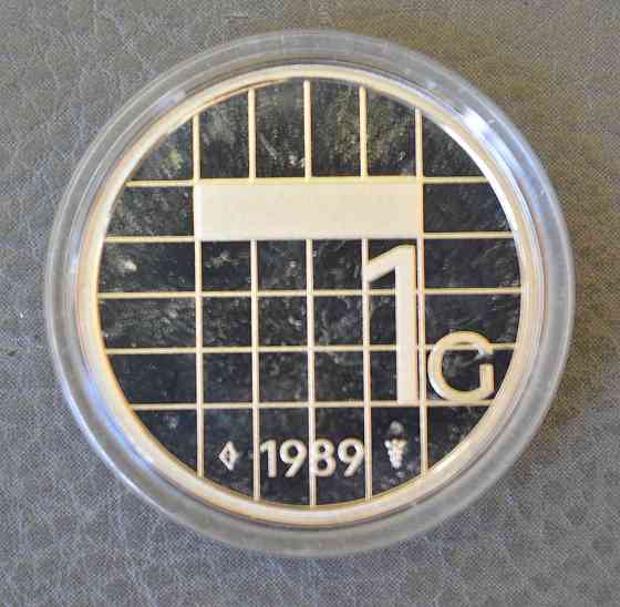 Монета 1 гульден. 1989 год, Нидерланды. (капсула) ПРУФ Полтава
