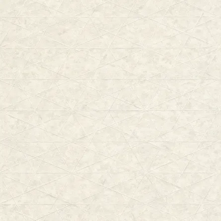 Шпалери Rasch Composition 554311 Киев