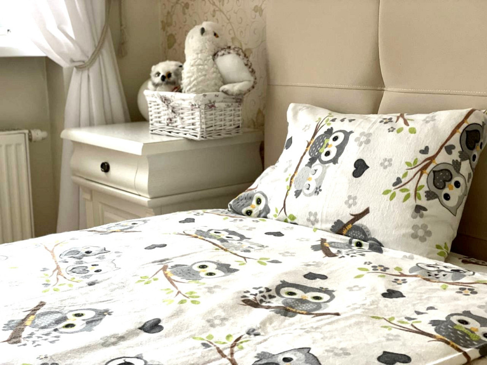 Ecotton Дитячий комплект постільної білизни Ecotton 110х140 см Сови білий Коломия - фото 1