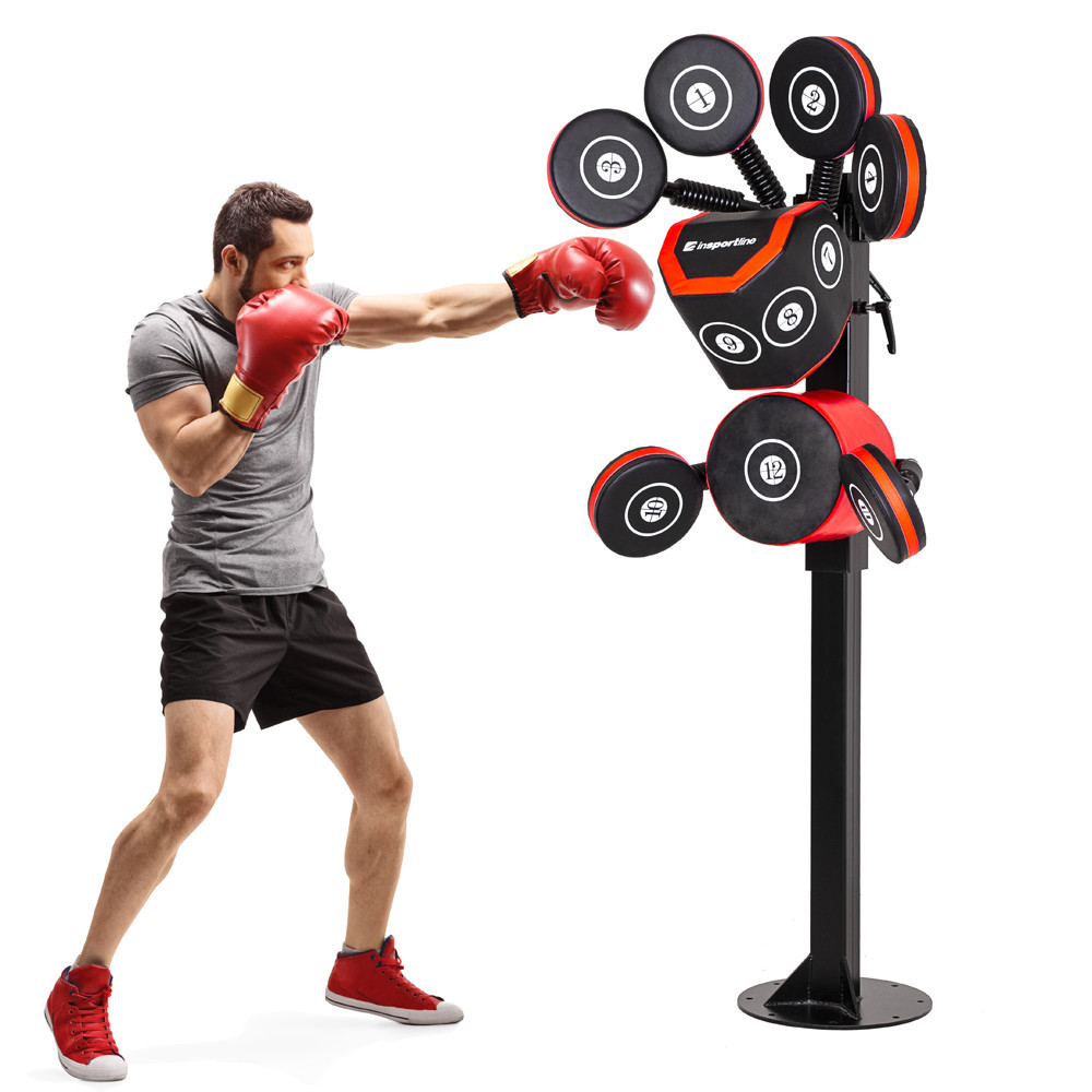 Боксерський тренажер inSPORTline Boxheist Fix Київ - фото 1