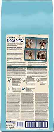 Сухий корм для цуценят великих порід Dog Chow Puppy Large Breed з індичкою, 14 кг Вінниця