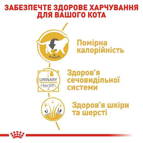 Вологий корм для дорослих котів ROYAL CANIN BRITISH SHORTHAIR ADULT 0.085 кг Київ