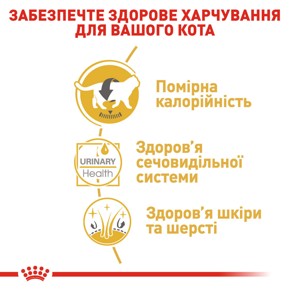 Вологий корм для дорослих котів ROYAL CANIN BRITISH SHORTHAIR ADULT 0.085 кг Київ - фото 5