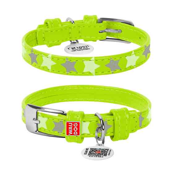 Нашийник для собак шкіряний WAUDOG Glamour з QR паспортом, візерунок "Зірочка", світлонакопичувальний/світловідбивний, S, Ш 15 мм, Київ