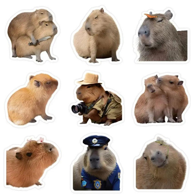 Реалістичні наліпки з капібарою, наліпки з тваринами,водонепроникні наліпки для пляшки з водою, комп Київ - фото 1