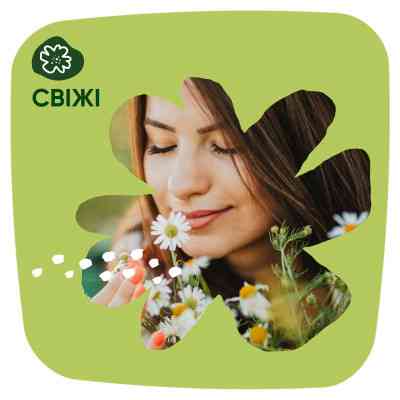 Щоденні прокладки Naturella Camomile Light 100 шт. (8001090603807) Вінниця