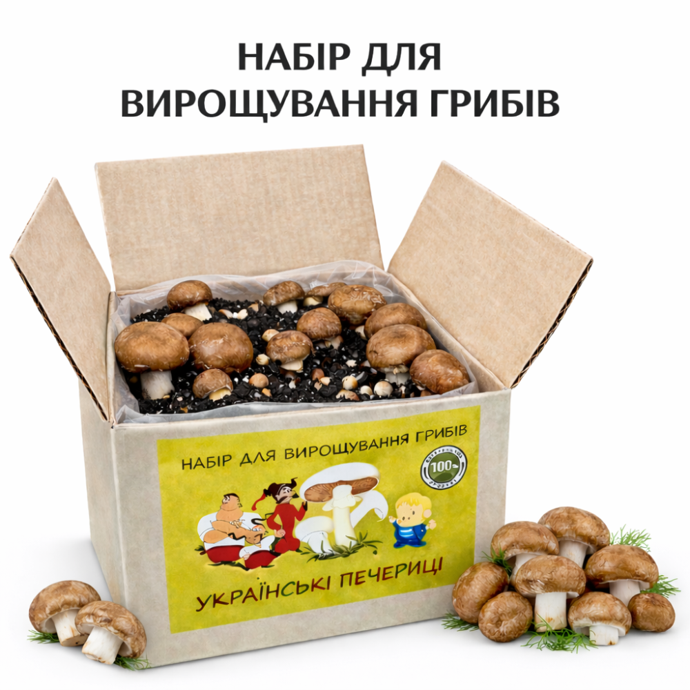 Грибний набір для вирощування королівських печериць готова грибна коробка з засіяним міцелієм печериць Харків - фото 4