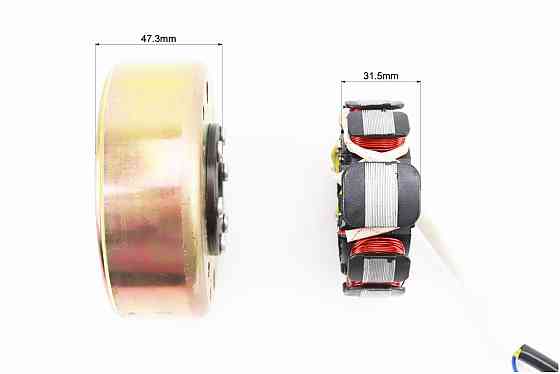 Магнето в зборі (11 котушок) Киев