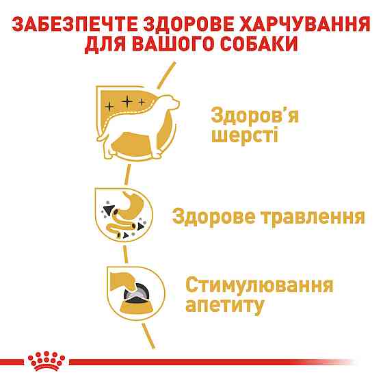 Вологий корм для дорослих собак ROYAL CANIN CHIHUAHUA ADULT 0.085 кг Київ