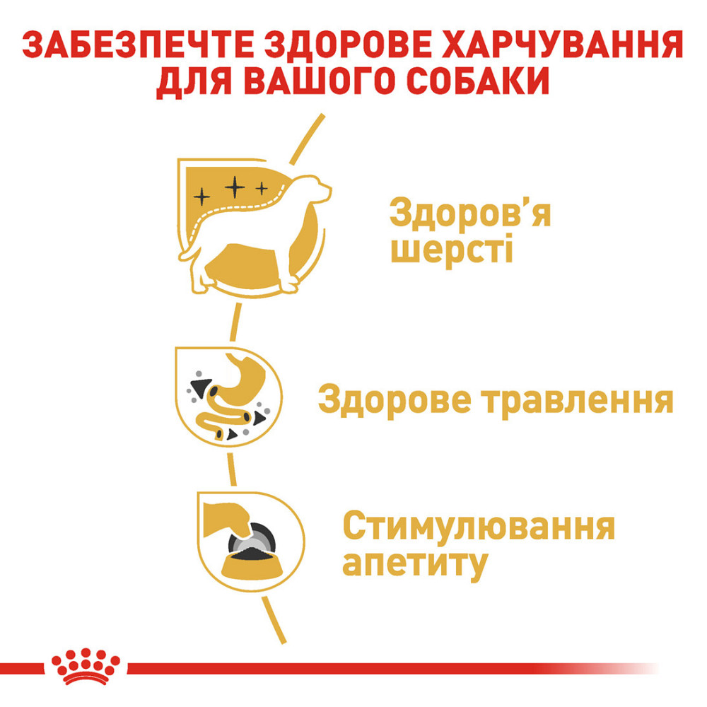 Вологий корм для дорослих собак ROYAL CANIN CHIHUAHUA ADULT 0.085 кг Київ - фото 5