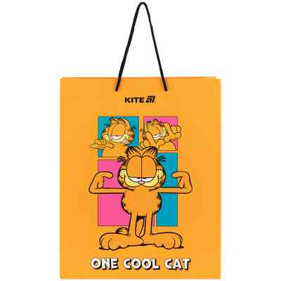 Подарочный пакет Kite Garfield, 26х32 см (GF25-266) Винница