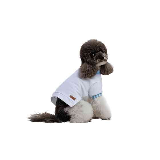 Футболка Pet Fashion Polo для собак XS Київ