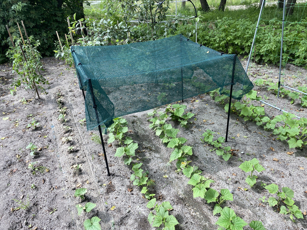 Подвійна опора сітки для рослин Botanic  Crona 1м. Модульний каркас захисту рослин від сонця H=1m Бориспіль - фото 10