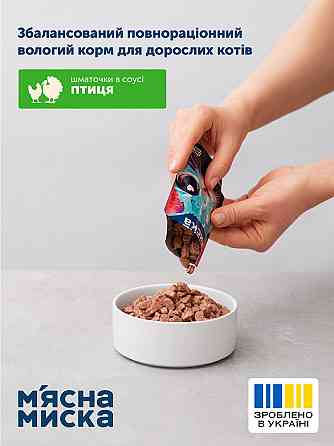 Вологий корм для дорослих котів М'ясна миска шматочки в соусі з птицею, 100 г Вінниця