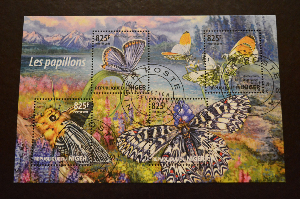 Нигер. Фауна. 2015год Полтава - изображение 1