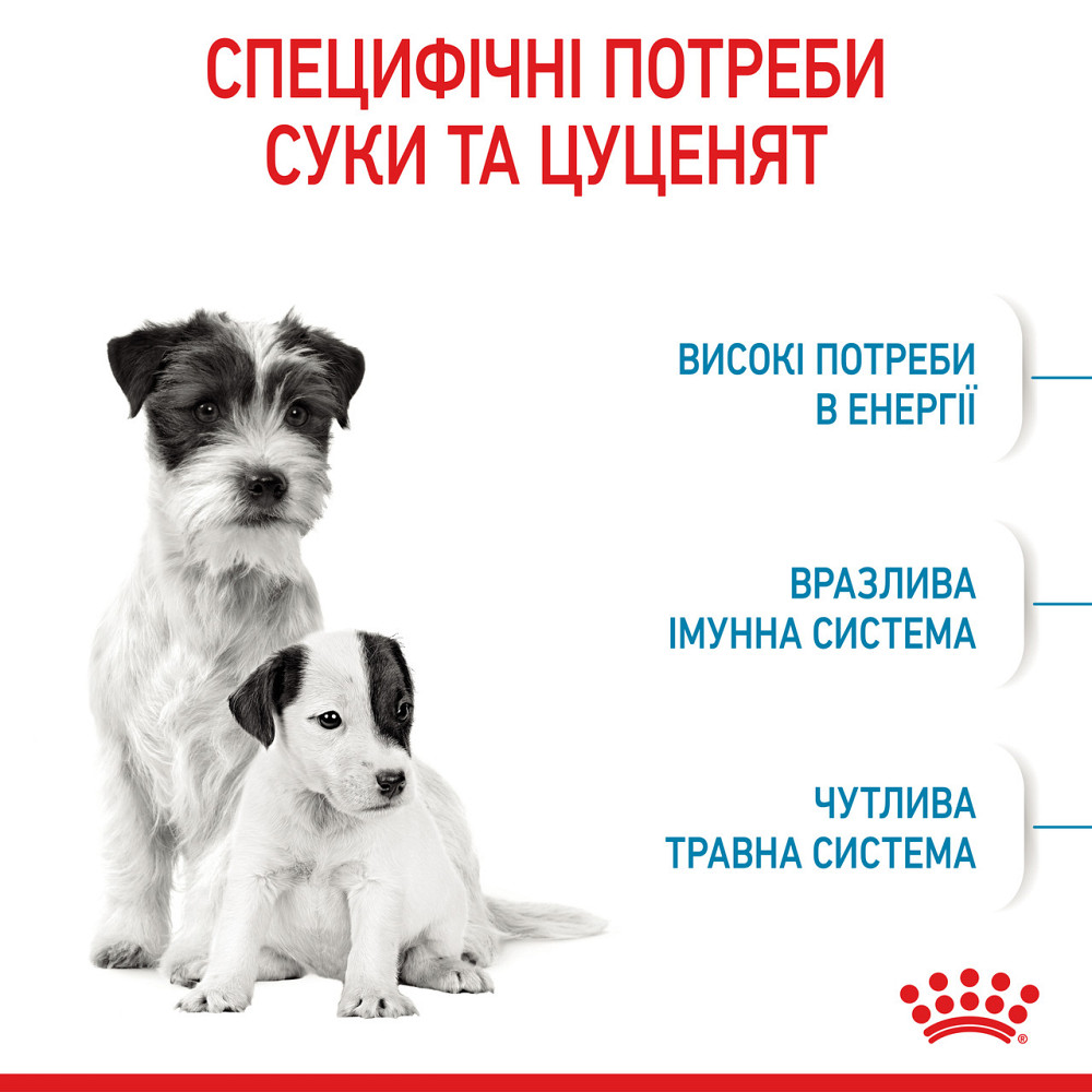 Cухий корм для новонароджених цуценят мініютюрних порід ROYAL CANIN MINI STARTER 1 кг Київ - фото 3