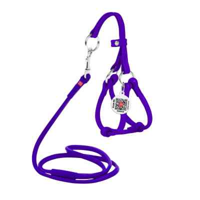 Шлея для собак WAUDOG Glamour з повідцем кругла Д 6 мм А 26-46 см В 30-50 см фіолетова (34019) Вінниця