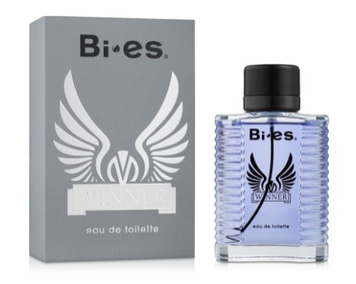 Туалетная вода мужская Bi-Es Winner 100 мл Виннер Би ес Запорожье - изображение 1