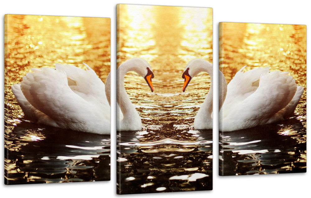 Модульная картина Лебеди Art-121_3 70x130 см Киев - изображение 1