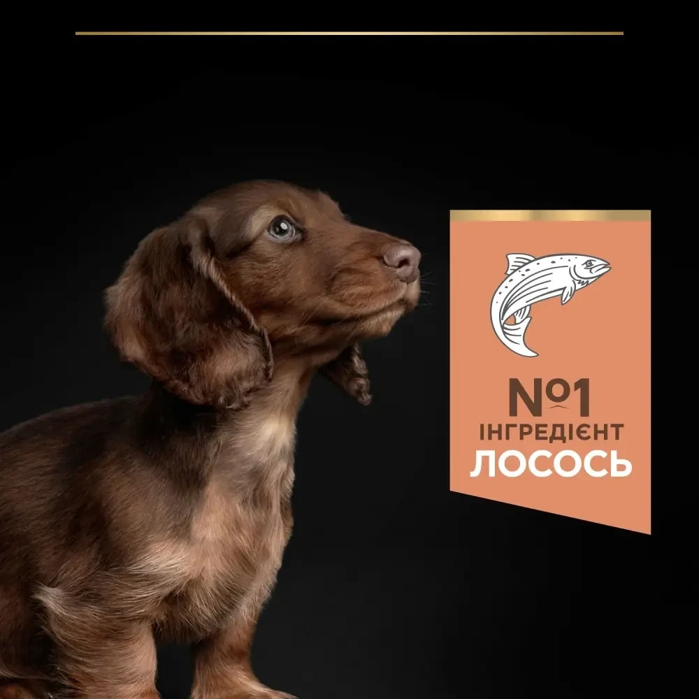 Сухий корм PRO PLAN Small&Mini Puppy  Київ - фото 7