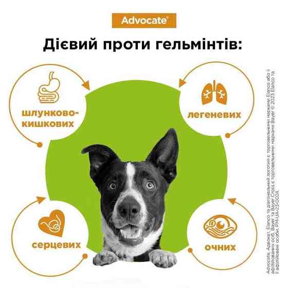 Краплі для собак 25-40 кг проти бліх, кліщів, вошей, гельмінтів Bayer Elanco Advocate (Байєр Адвокат) 3 х 4 мл Запоріжжя