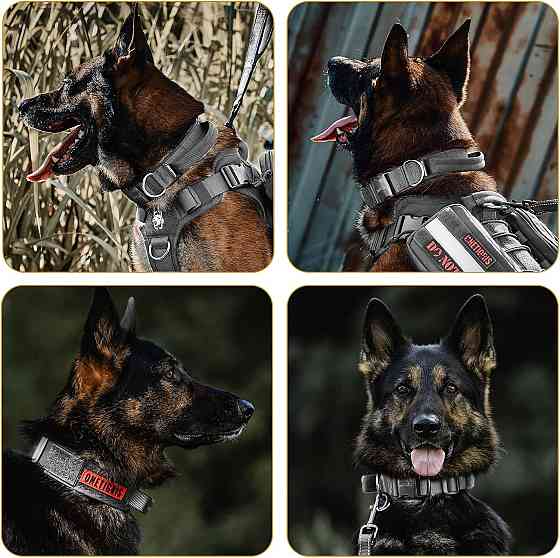 Нашийник для собак OneTigris із металевою пряжкою, розмір M Луцк