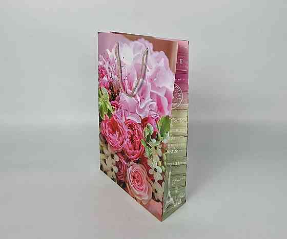 Большой бумажный пакет вертикальный  25/37/8(артBV-020) (12 шт) Харьков