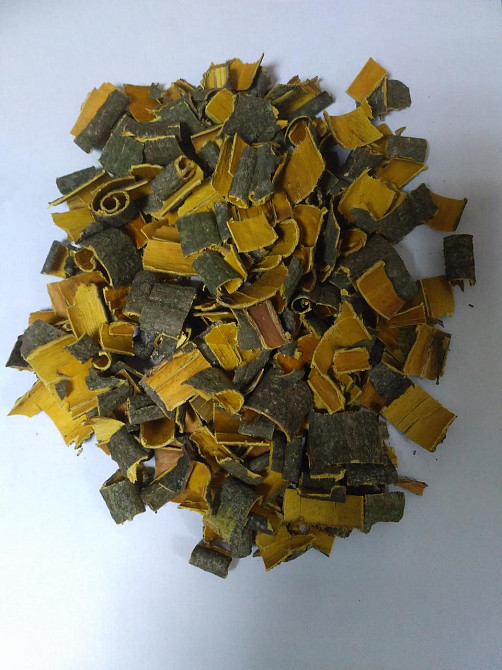 Кора крушини (Кора крушины)100г master sem Киев - изображение 2