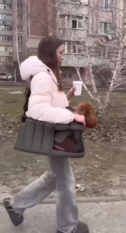 Сумка-переноска для котів і собак Happy Peppy (Хеппі Пеппі) Luna Bag Овал Запоріжжя - фото 3