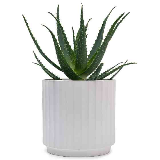 elemi Набір кашпо для квітів керамічні elemi "Грань" (13.5"; 16"; 20.5") (1,4 л; 2,4 л; 4,2 л) Коломыя