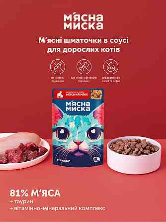 Вологий корм для дорослих котів М'ясна миска шматочки в соусі м'ясний мікс, 100 г Вінниця