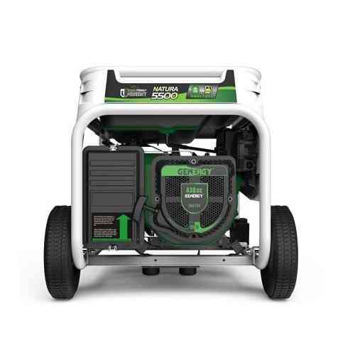 Генератор газ - бензин GENERGY NATURA 5000 5,5/5 кВт Одесса