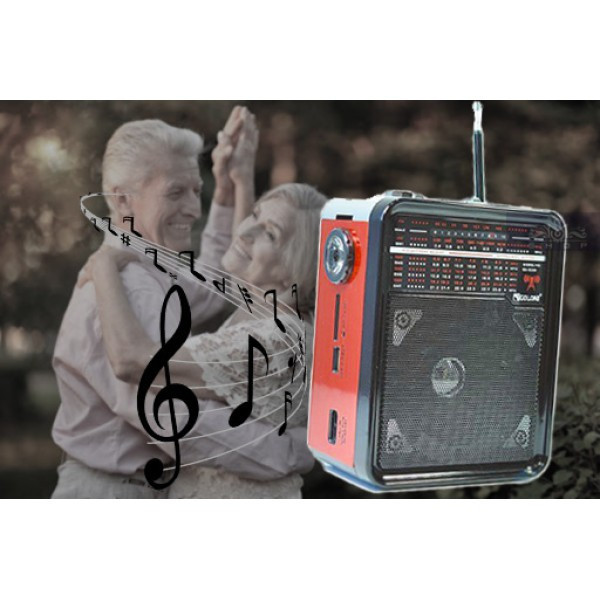 Радіоприймання колонки Golon RX-9100 з ліхтарем Коричневий Вінниця - фото 4