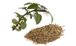 Майоран сухой молотый 100г. MasterSEM Киев - изображение 1