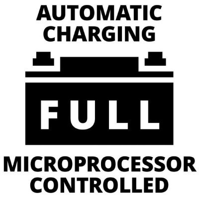 Пуско зарядное устройство Einhell CE-BC 30 M, 12/24 В, 3-600 А/г, макс. 30А (1002275) Винница - изображение 10