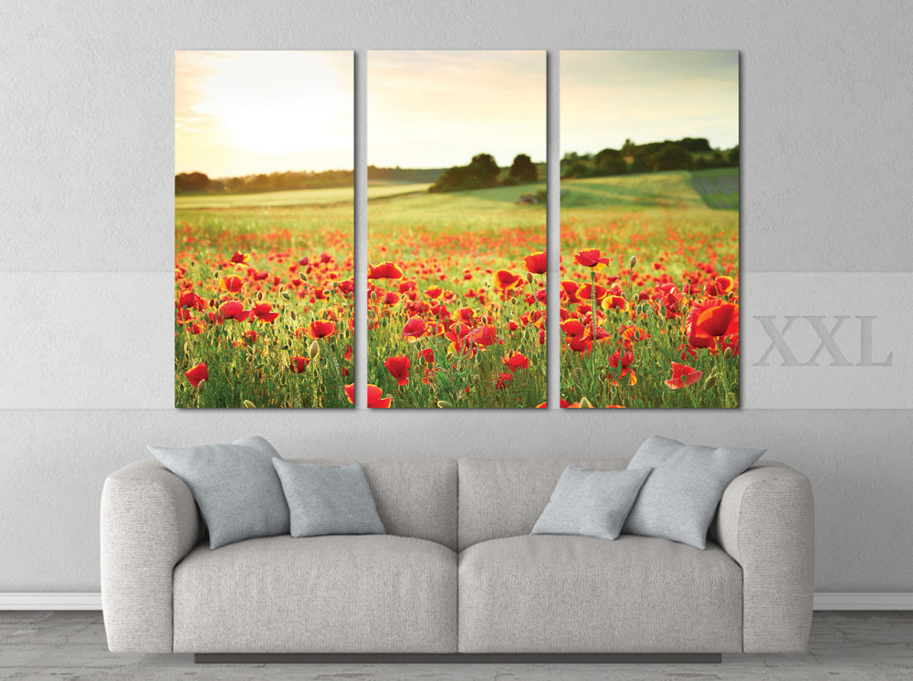 Модульна картина Природа Поле Art-187_XXL Київ - фото 2