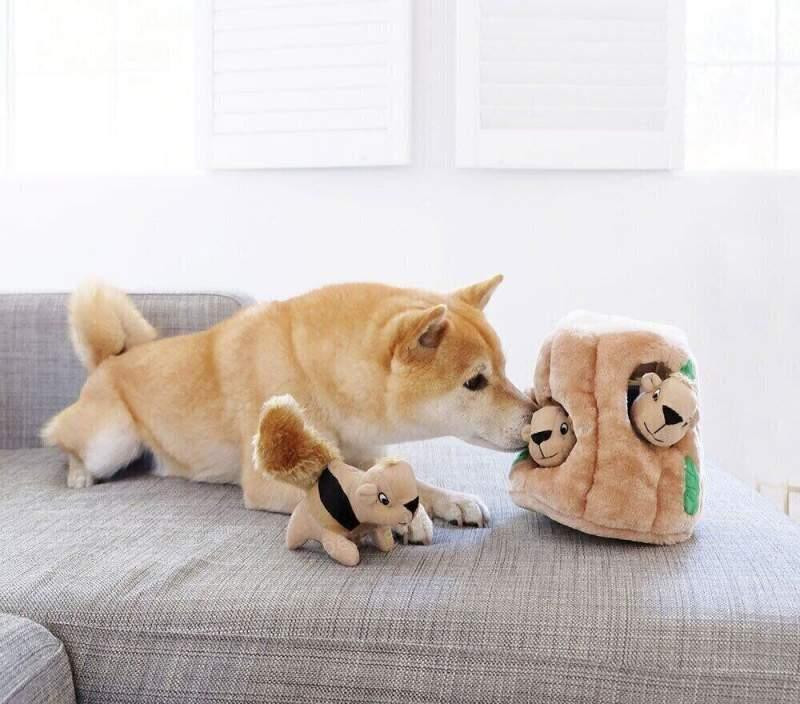 Интерактивная игрушка для собак прятки Тайник Белки Outward Hound Hide-A-Squirrel (Аутвард Хаунд) Small - 10.5 х 11.5 см - 3 белки Запорожье - изображение 4