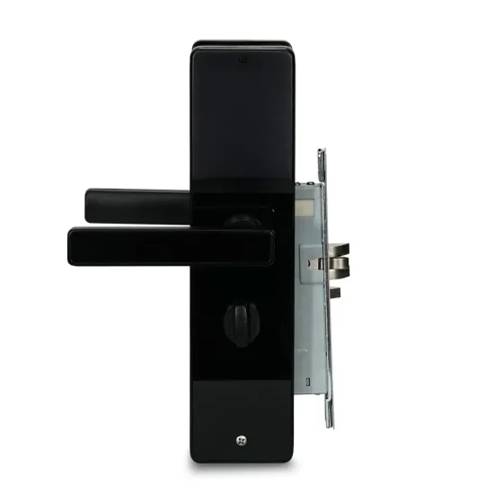 Замок електромеханічний автономний Trinix TRL-5301BT Black з Bluetooth і зчитувачем Mifare (65-00058) Київ