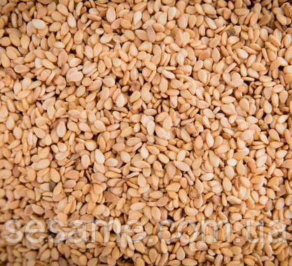 Кунжут жареный, белый 50г Харьков - изображение 1