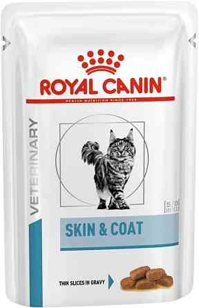 Royal Canin Skin & Coat (Рояв Канін Скін енд Коат) вологий корм для котів під час дерматозу і випадання вовни 0,085 кг. Запоріжжя